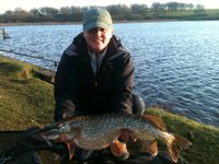 Bridget 15lb pike